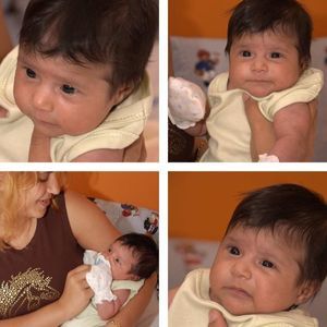 Meet your Posher, Daisy